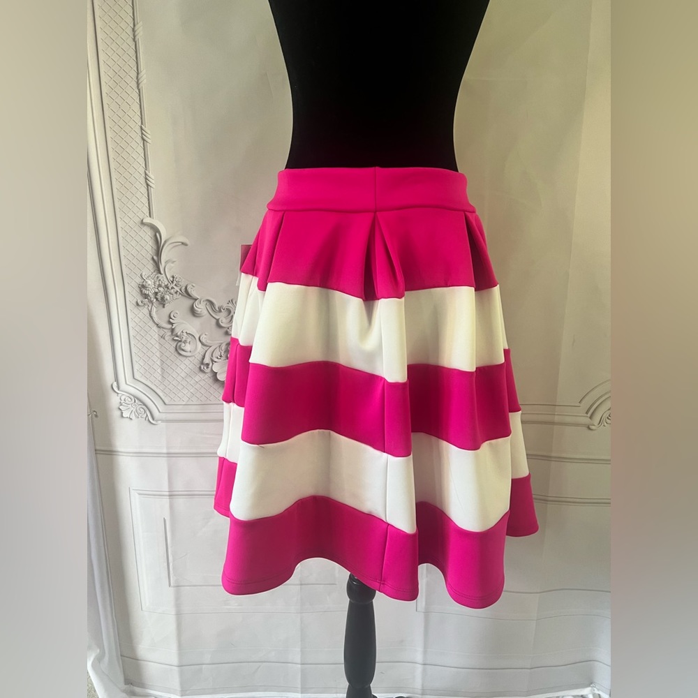 Charlotte Russe Striped Skater Pleated Skirt - Picture 4 of 6